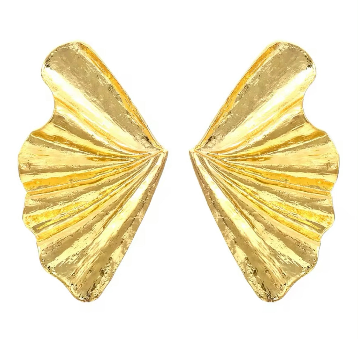 Earrings Shiny